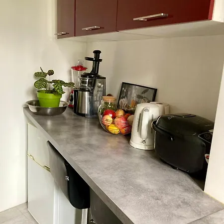 Apartment Olympic Parc La 19 Cosy Paris